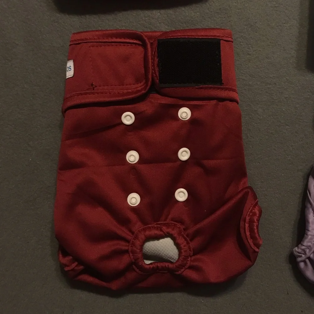NEW Bundle of 4 Reusable Female Dog Diapers